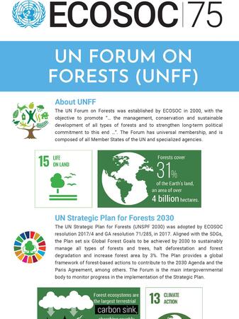 UNFF21