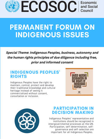 UNPFII