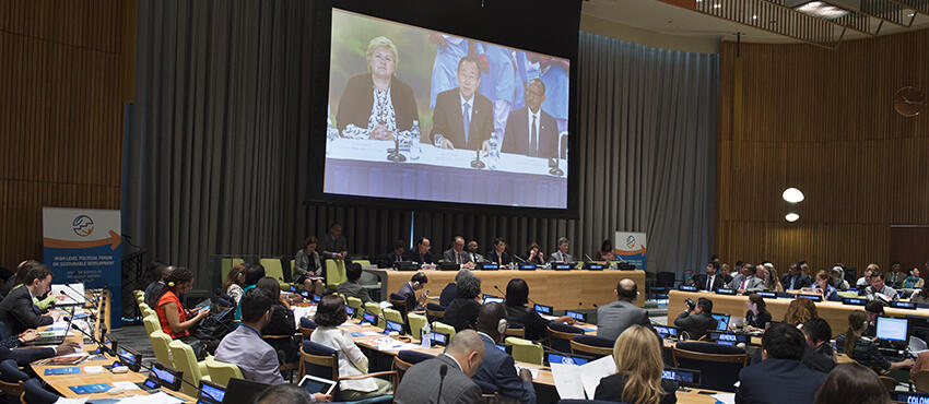 2015-ecosoc-high-level-segment