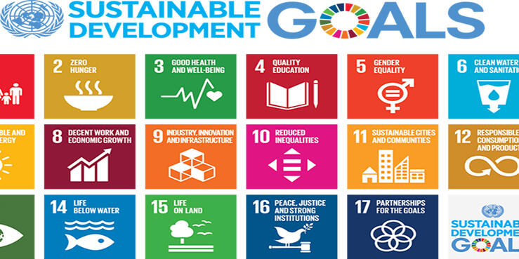 sdg_logo