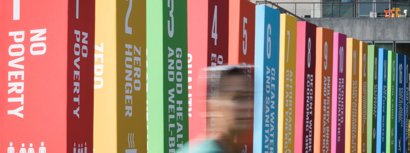 SDG display