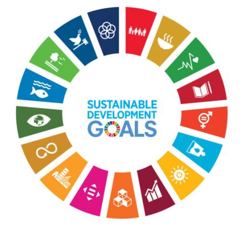 SDG Wheel